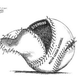 Illustration for article titled MLB PED Suspension Imminent, Submit Your Wild Speculation PDQ (UPDATE: We Have A Winner)